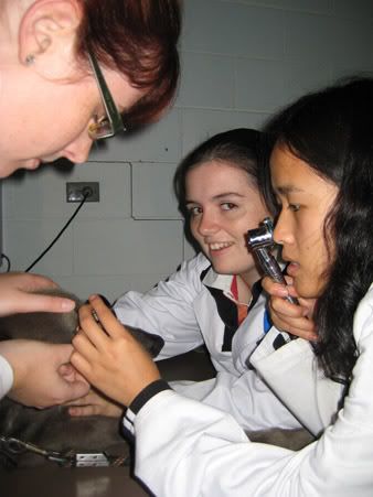 IMG_1089.jpg