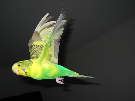 IMG_1443.jpg