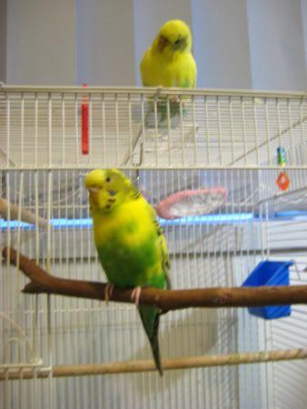 IMG_1465.jpg