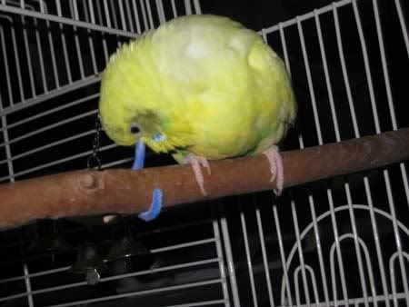 IMG_1482.jpg