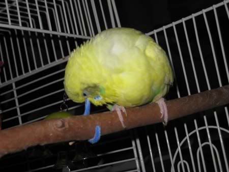 IMG_1483.jpg