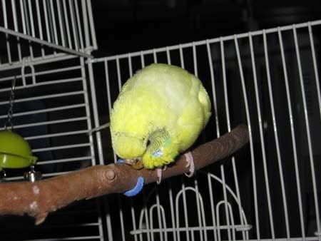 IMG_1511.jpg