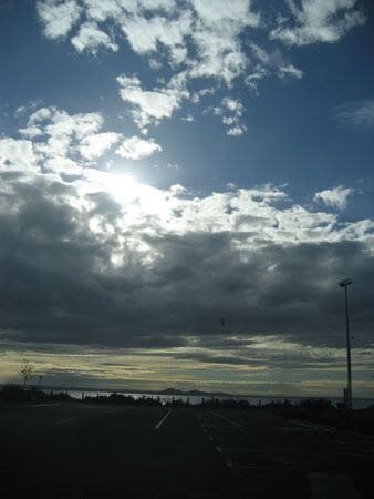 IMG_3724.jpg