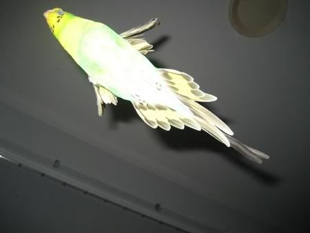 IMG_3911.jpg