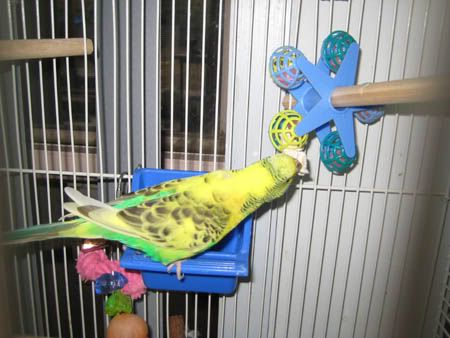 IMG_4863.jpg