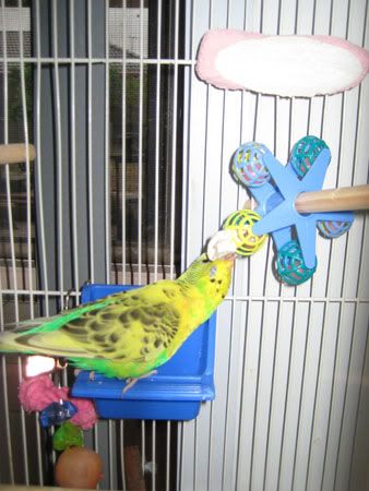 IMG_4864.jpg