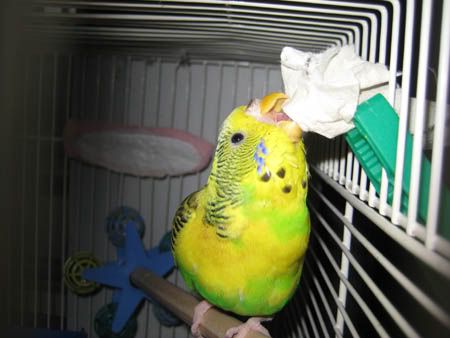 IMG_4879.jpg