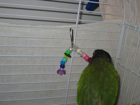 IMG_5117.jpg