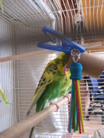 IMG_5741.jpg