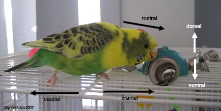 body1.jpg