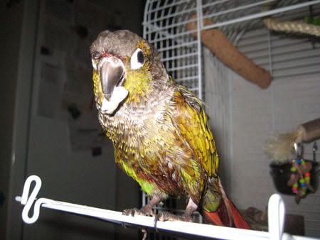 IMG_6578.jpg