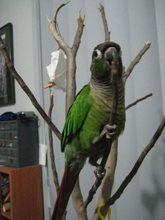 IMG_6612.jpg