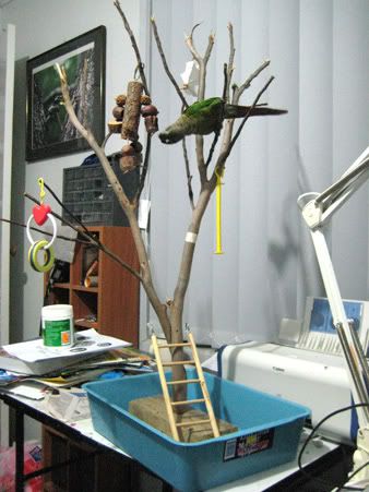 tree.jpg