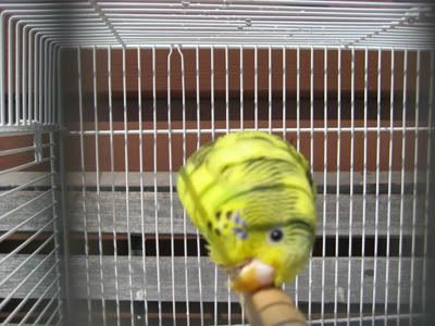 IMG_0262.jpg