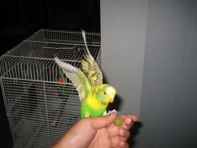 IMG_0460.jpg