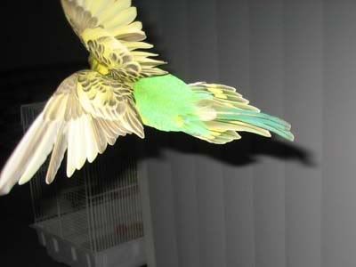 IMG_0462.jpg
