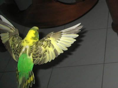 IMG_0488.jpg