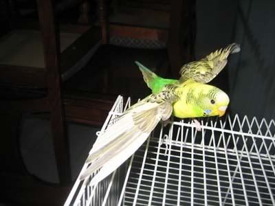 IMG_0510.jpg