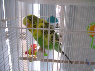 IMG_0665.jpg