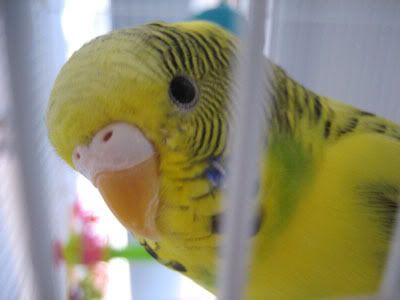 IMG_0669.jpg
