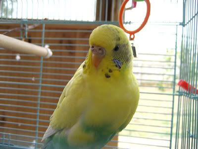 IMG_0683a.jpg