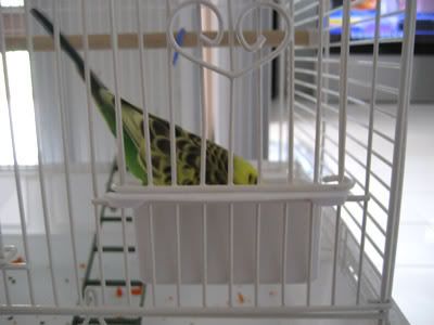 IMG_0696.jpg