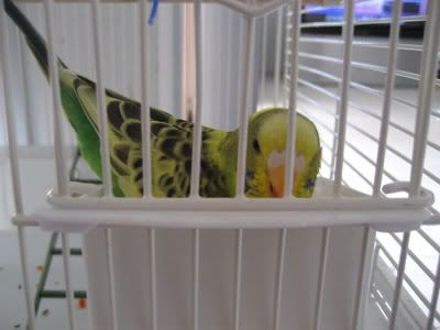 IMG_0697.jpg