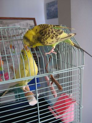 IMG_0885.jpg