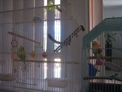 IMG_0894.jpg