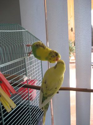 IMG_0903.jpg