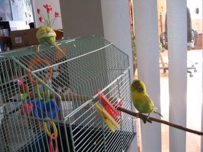 IMG_0905.jpg