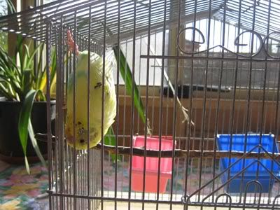 IMG_2403.jpg