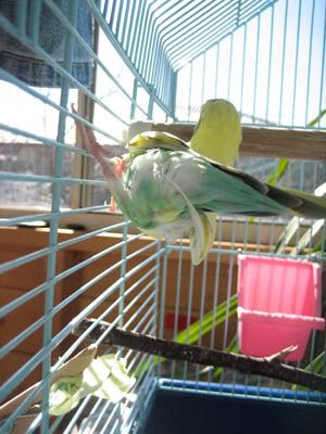IMG_4242.jpg