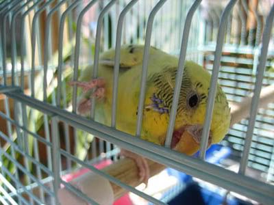 IMG_4255a.jpg