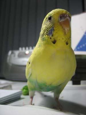 IMG_4722.jpg