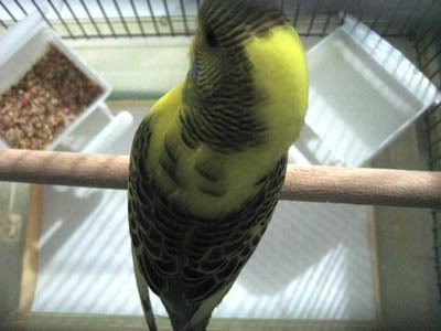 IMG_6128a.jpg