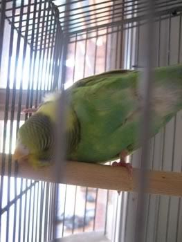 IMG_6310.jpg