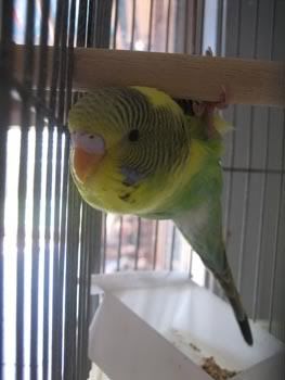 IMG_6332.jpg