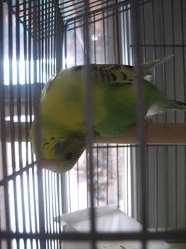 IMG_6339.jpg