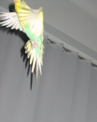 IMG_7429.jpg