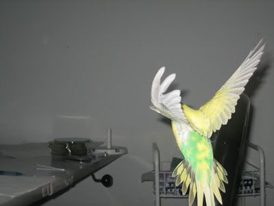 IMG_7431.jpg