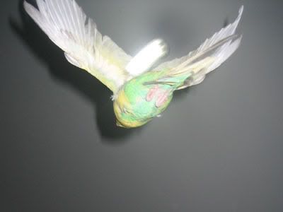 IMG_7435.jpg