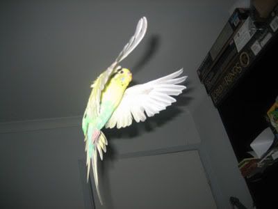 IMG_7436.jpg