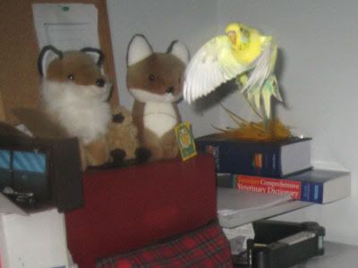 IMG_7439.jpg