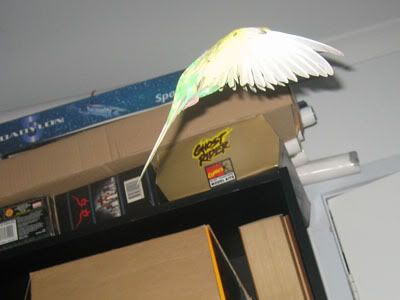 IMG_7446.jpg