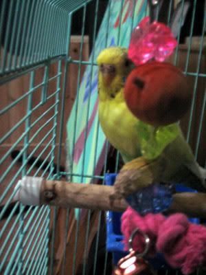 IMG_9172a.jpg