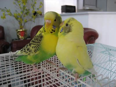 IMG_9383.jpg