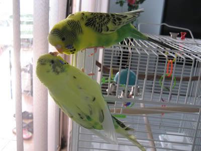IMG_9387.jpg