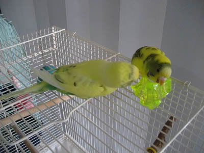 IMG_9474.jpg