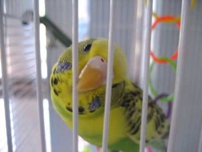 IMG_9827.jpg